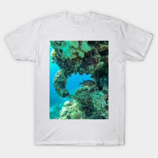 Coral reef and fish T-Shirt